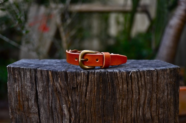 dog collar_b0172633_21362767.jpg