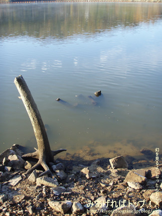 f0335637_2233075.jpg