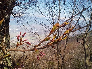 a0272241_20134537.jpg