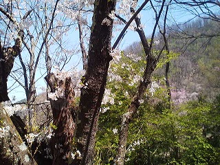 a0272241_20165382.jpg