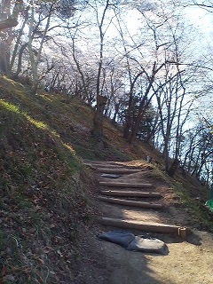 a0272241_20284286.jpg