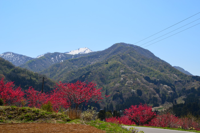 c0202242_15143452.jpg