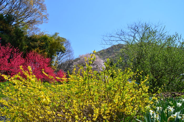 c0202242_15163284.jpg