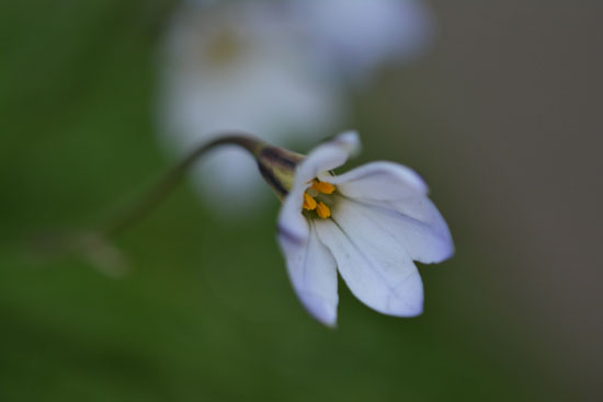 c0093046_829353.jpg