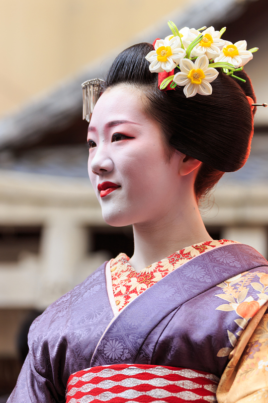 舞妓さんのお茶会（観亀神社）_f0155048_23414416.jpg