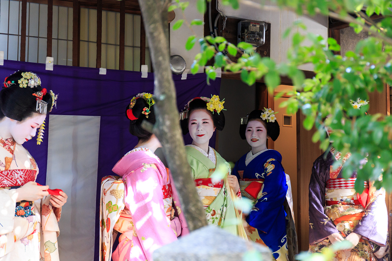 舞妓さんのお茶会（観亀神社）_f0155048_23435751.jpg