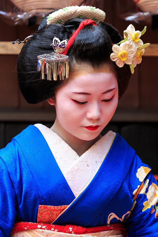 舞妓さんのお茶会（観亀神社）_f0155048_23455553.jpg