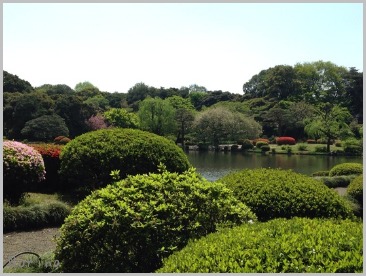 新宿御苑お散歩_e0326953_2341412.jpg