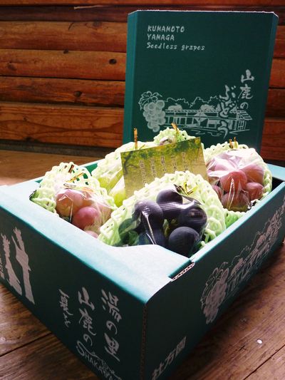 熊本ぶどう 社方園 蕾、花、着果 本物を育てる匠の技 その1_a0254656_19213143.jpg