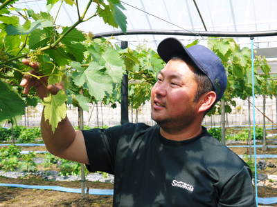 熊本ぶどう 社方園 蕾、花、着果 本物を育てる匠の技 その1_a0254656_20323216.jpg