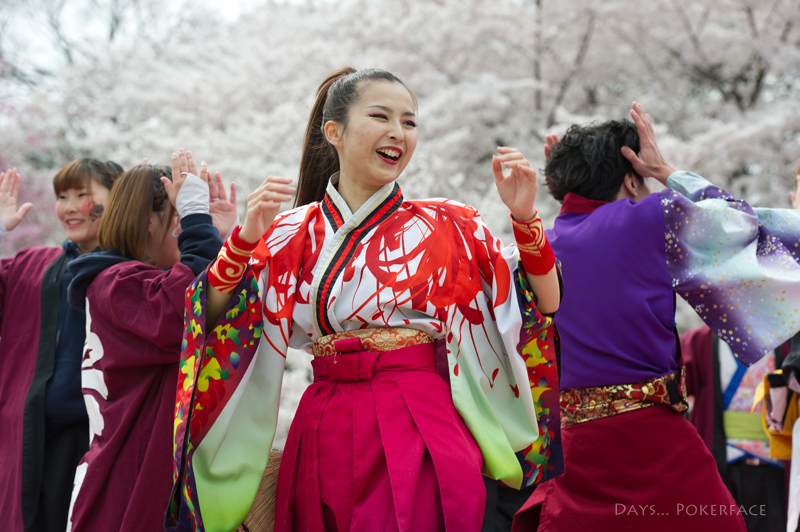 2014 京都さくらよさこい 6_d0079559_11401637.jpg