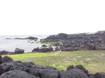b0294060_21435280.jpg