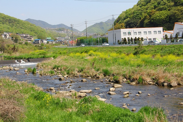 b0095061_1334319.jpg