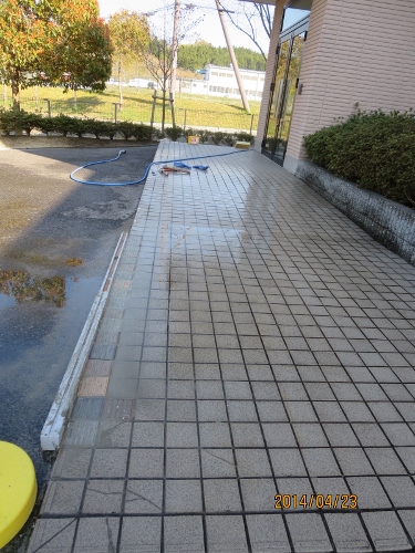 4年ぶり日本での春、少しホッです_b0100062_23174367.jpg