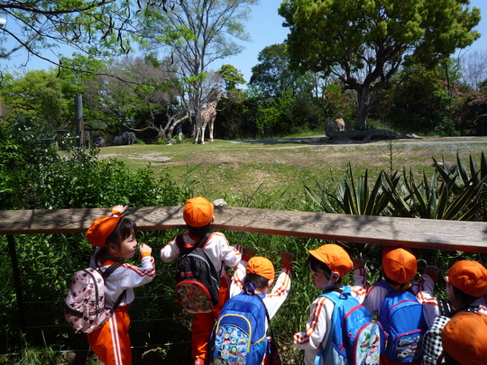 KSIS 遠足 天王寺動物園_e0119166_17443557.jpg