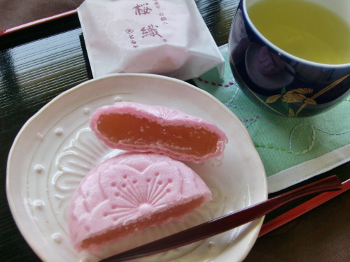 虎屋の最中_a0125981_20451796.jpg