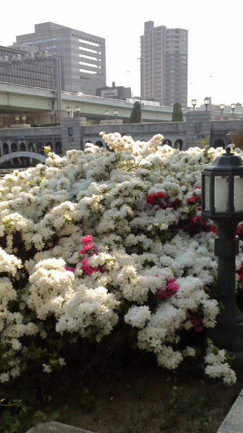 f0225982_89561.jpg