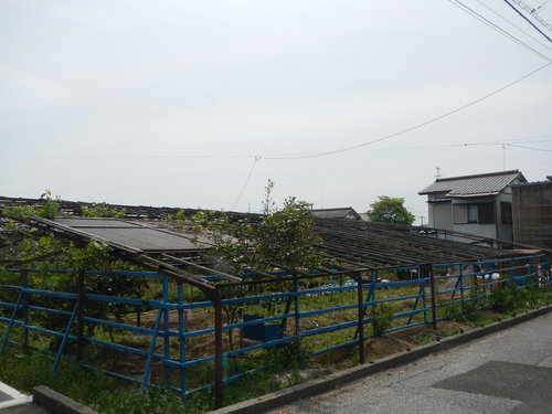 c0194485_1744513.jpg