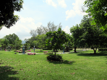 街の中の大きな公園_f0144385_12064445.jpg