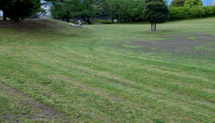 花の首飾り～♪_a0287486_8195110.jpg