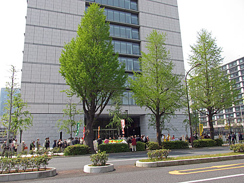 a0188487_1722086.jpg
