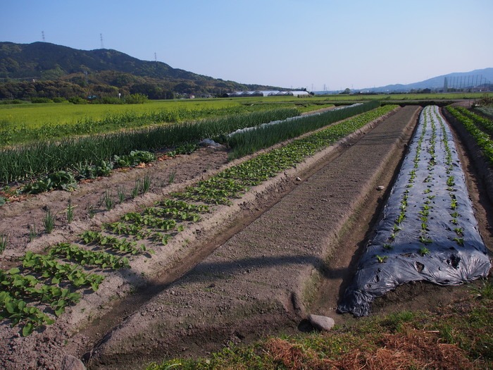 宝満川上流(筑紫野市）_a0149488_0541855.jpg