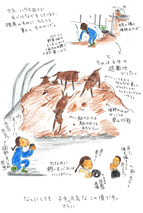 f0236291_5485189.gif