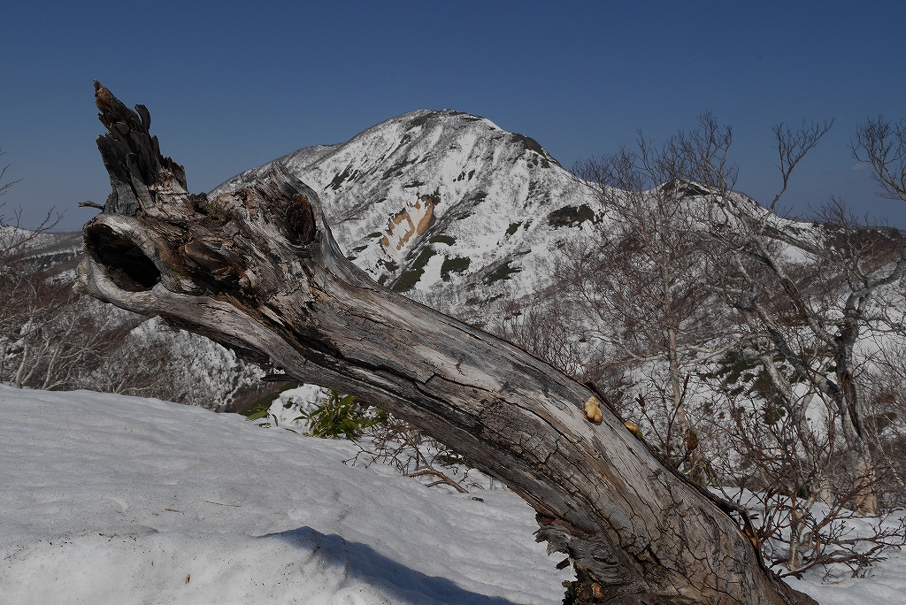 4月23日、オロフレ山－その2 －_f0138096_1818035.jpg