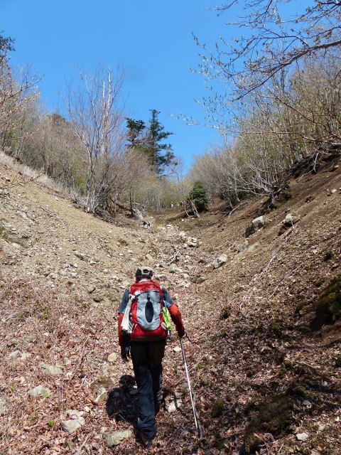 青石登山口～分岐～馬子岳～カタクリなど。_b0025101_23172536.jpg