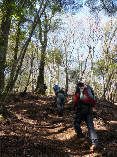 青石登山口～分岐～馬子岳～カタクリなど。_b0025101_2355747.jpg