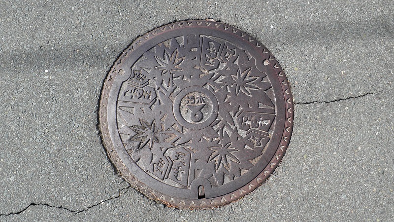 e0304702_853348.jpg