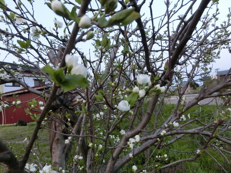 a0203003_2065866.jpg