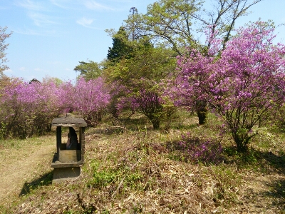 楞嚴（りょうごん）寺　～綾部市舘町～_e0252905_17533951.jpg