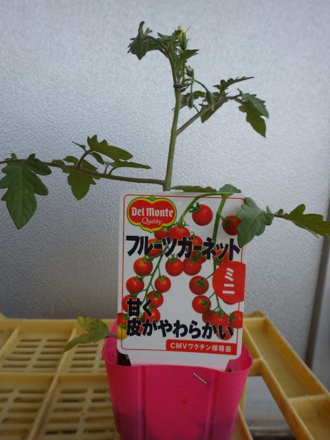 c0280206_834278.jpg