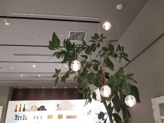 d0091909_1412160.jpg