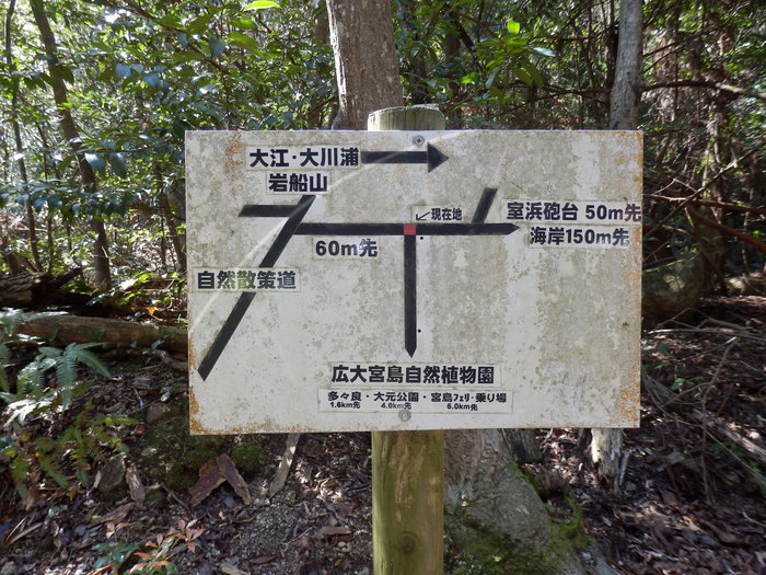 f0219710_1646265.jpg