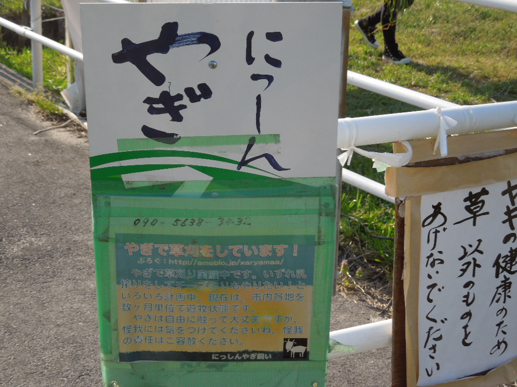 「にっしんやぎファーム」_a0120513_18472576.jpg