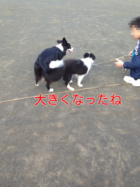 a0232619_2095147.png