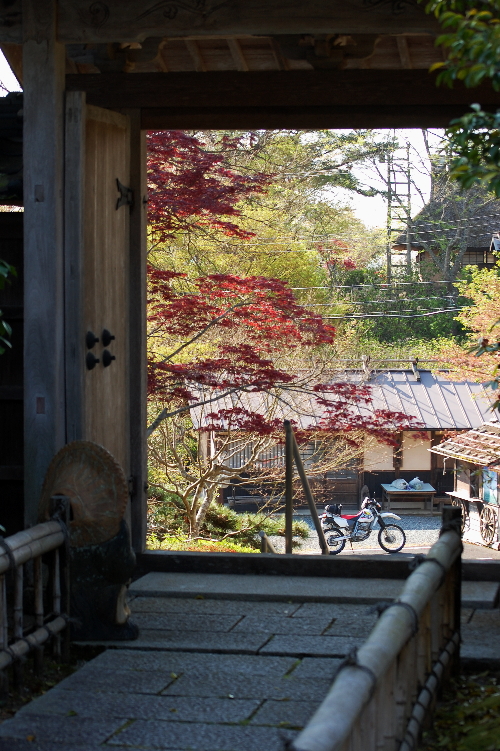 ピッタリ12時間！　花と雪のソロツー　普門寺編_f0248120_2241989.jpg