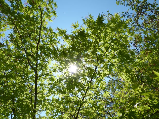 a0188023_6591311.jpg