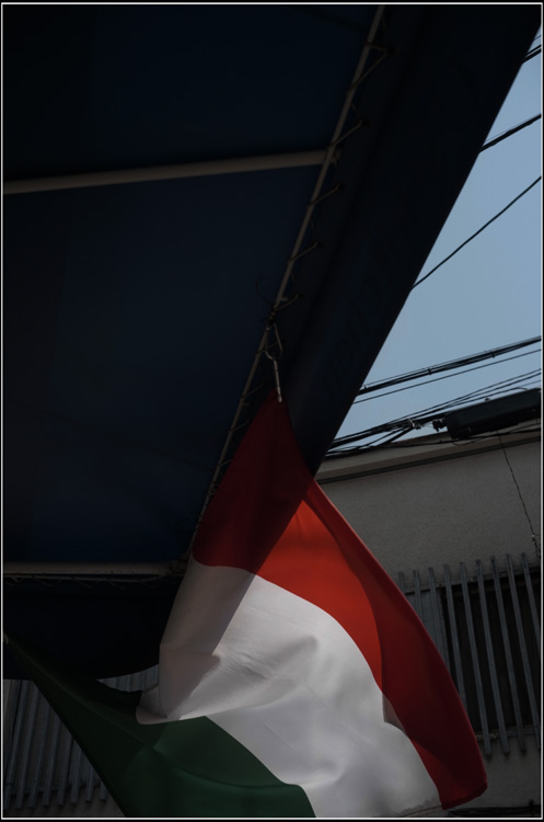 b0226423_2265673.jpg