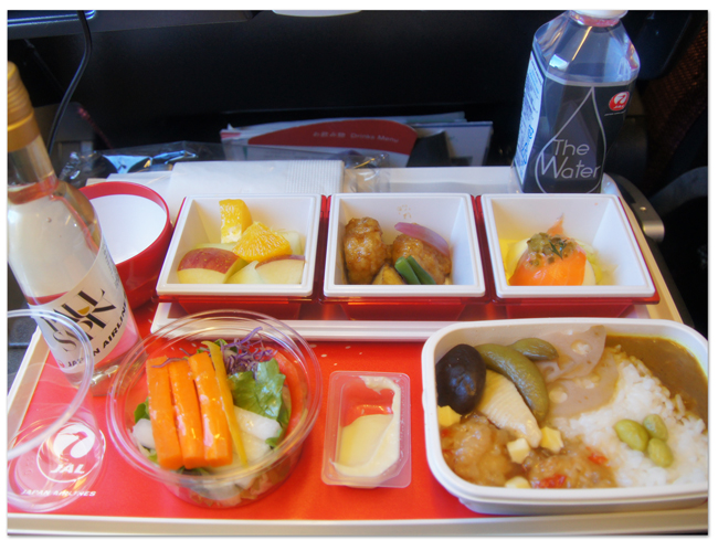 東カリブ海クルーズ(2) シカゴ線往路機内食など_d0210324_412575.jpg