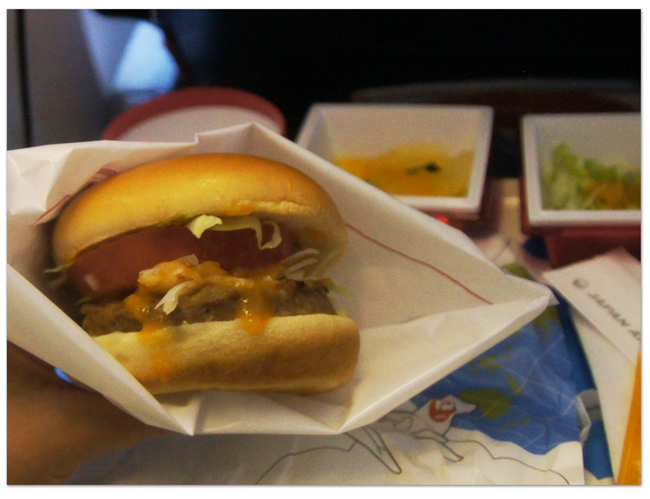 東カリブ海クルーズ(2) シカゴ線往路機内食など_d0210324_4133291.jpg