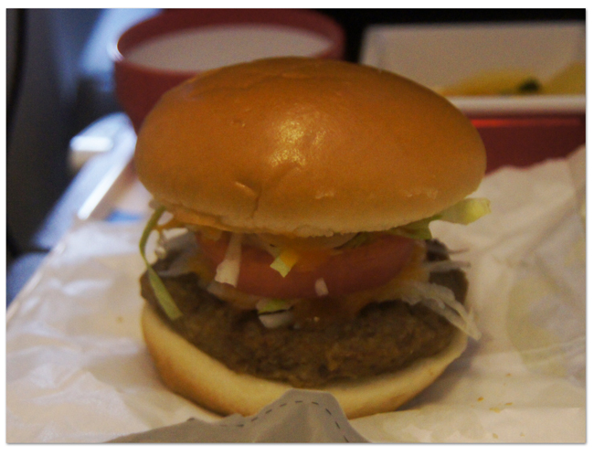 東カリブ海クルーズ(2) シカゴ線往路機内食など_d0210324_5143316.jpg