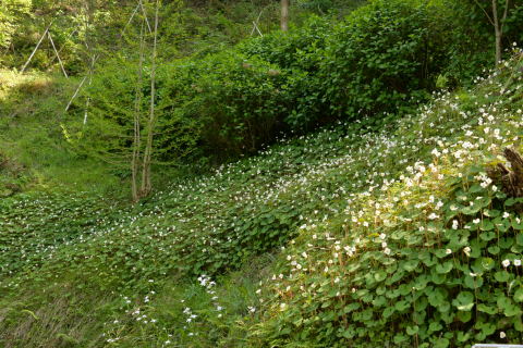 e0335926_23352988.jpg