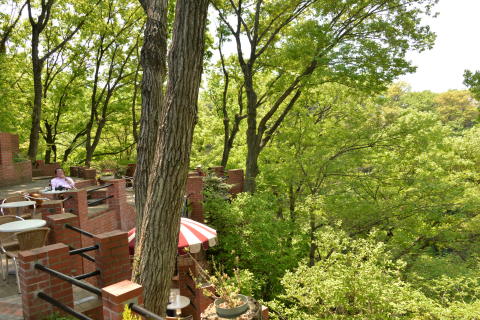 e0335926_23592014.jpg