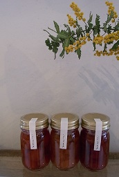 jam_f0120026_1730259.jpg