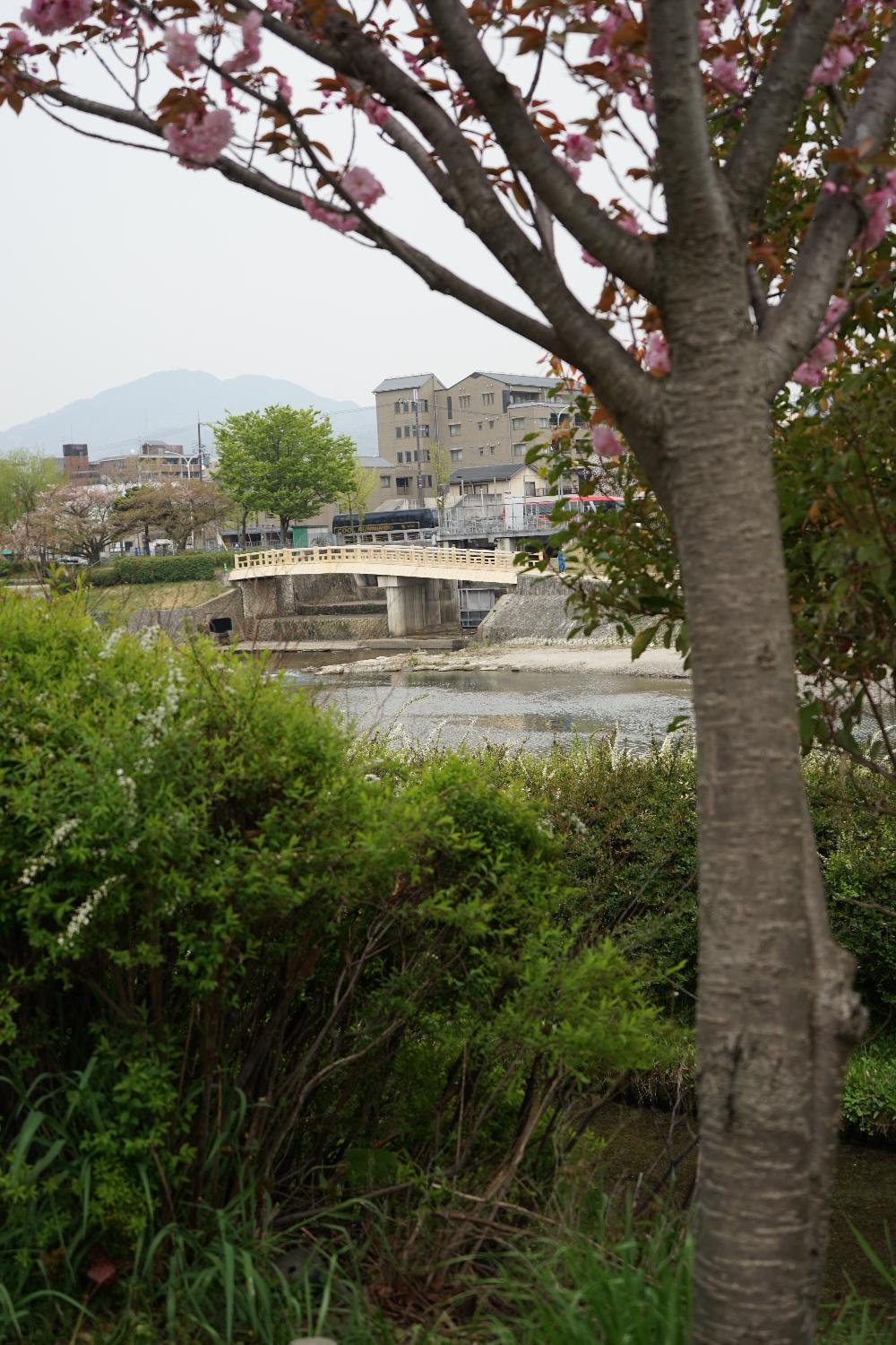 b0069128_10151659.jpg