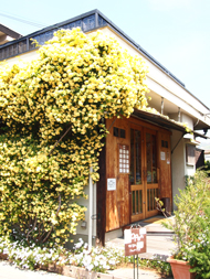 c0188928_1505721.jpg