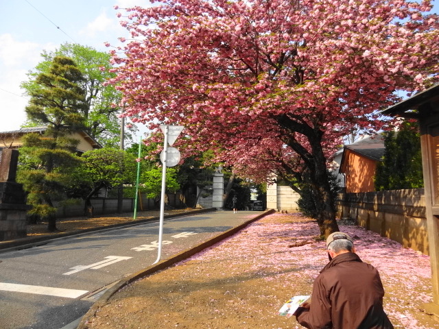 猫と牡丹と銭湯とチータ　だ～から歩いて豪徳寺_e0016828_10543996.jpg